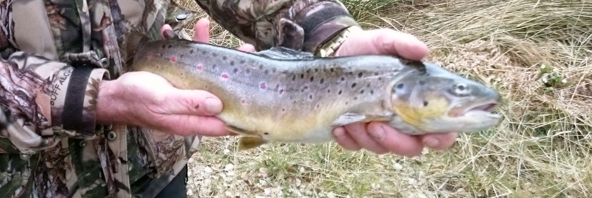 group fishing highlands