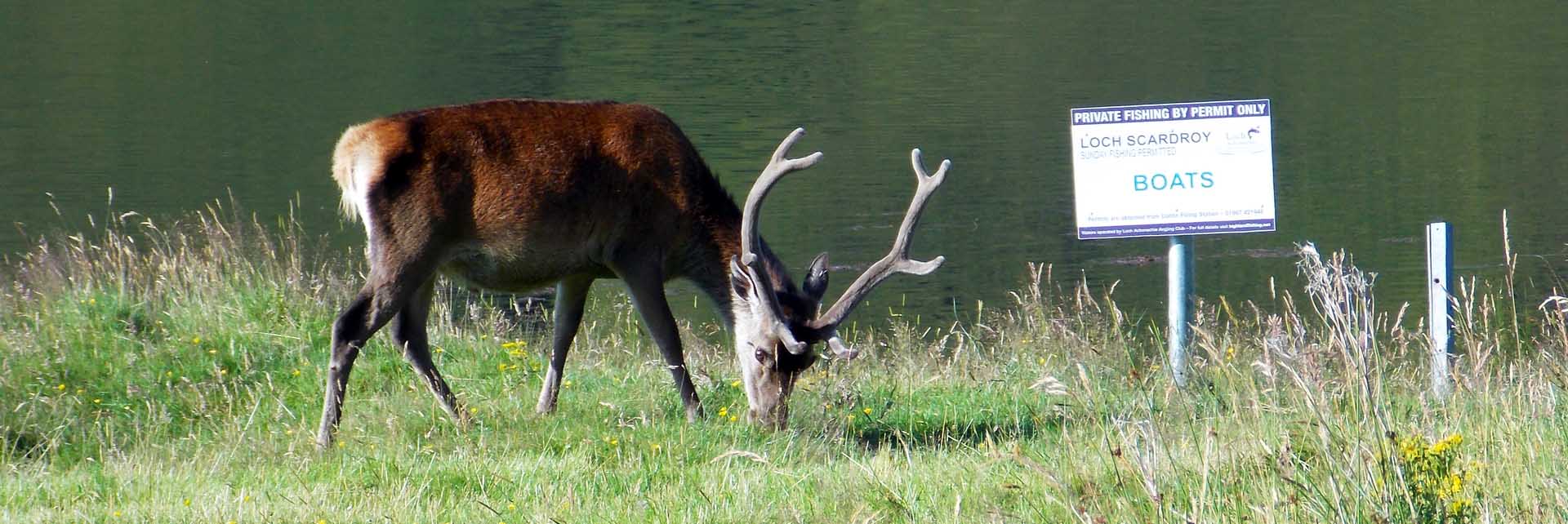 loch-scardroy.jpg